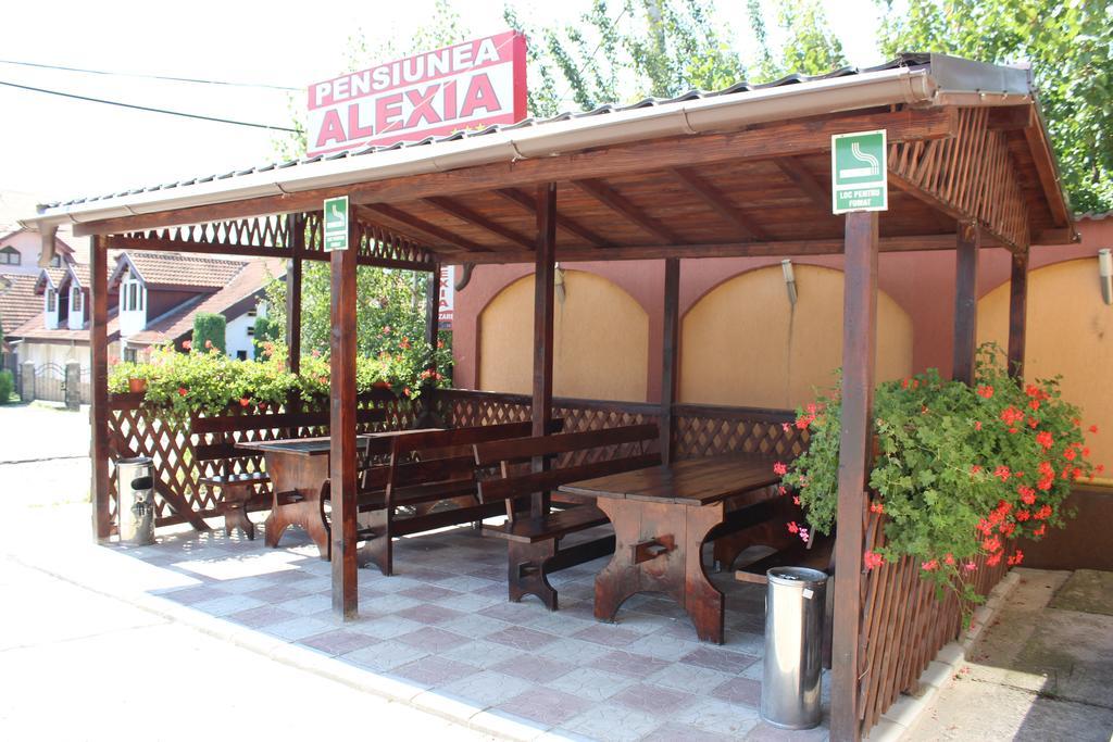 Pensiunea Alexia เปียตราเนียมซ์ ภายนอก รูปภาพ